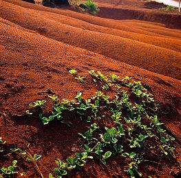 《怪物猎人崛起：曙光》总监展示新截图 背景或为新场景
